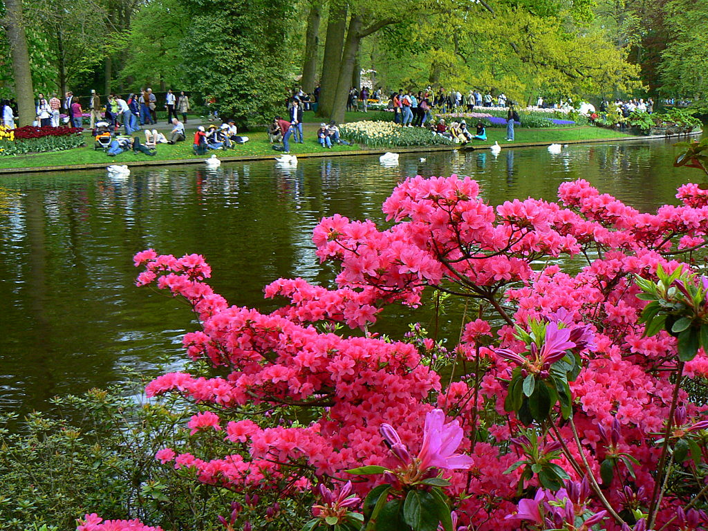 Keukenhof Tulip Gardens